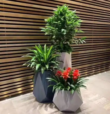 杭州綠植租賃-浙大團(tuán)隊(duì)品質(zhì)保障，花卉綠植租借一體化服務(wù)