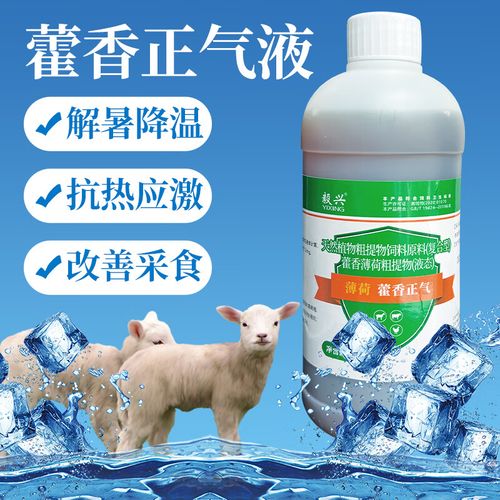 夏日養(yǎng)殖必備 藿香正氣液與冰爽VC——畜禽通用飼料添加劑使用指南